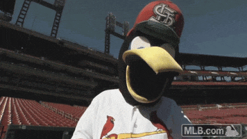 hungry st louis cardinals GIF by MLB