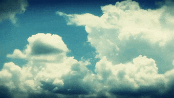 rafael  GIF
