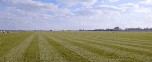 200.gif?cid=fc005b083dbe2ece1c609b62150fe4d0acb6a136087666e7&rid=200.gif&ct=g