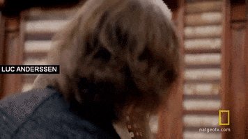 lucanderssen  GIF