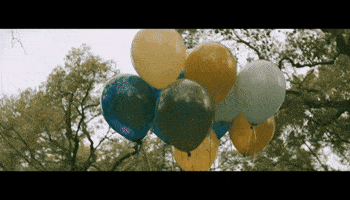 est vez GIF