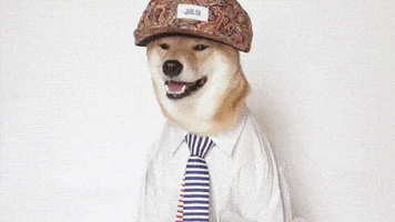 Costume GIF by Menswear Dog