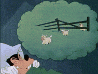Sheep-cartoon GIFs - Get the best GIF on GIPHY Sheep-cartoon GIFs - Get the best GIF on GIPHY