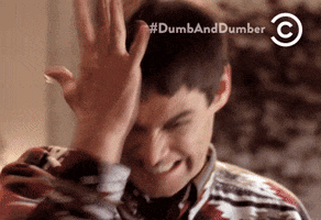 dumb and dumber television GIF