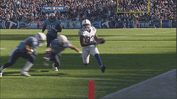 awesome indianapolis colts GIF