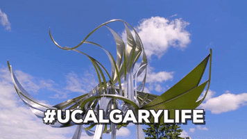prairie chicken canadian universities GIF by University of Calgary