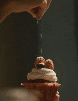 Food Cupcake GIF