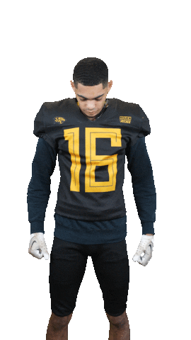 Léopards de Rouen - Football Américain Sticker