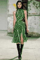200.gif?cid=fc005b085cece0ae4af3d7dd203776d131b02377f42be89f&rid=200.gif&ct=g