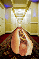 Hotdog Down A Hallway Gif