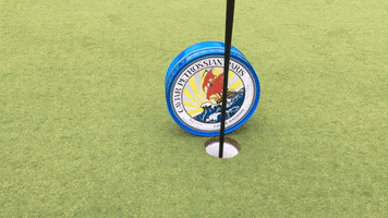 petrossian goal golf target caviar GIF