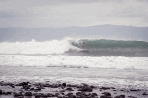 sininvierno wave fall surf costa rica GIF