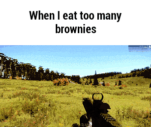 brownies