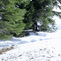Mt Hood Running GIF by Four Rest Films