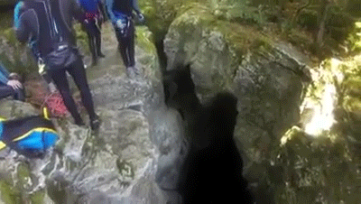giphy.gif
