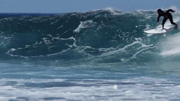 waves surfing GIF by MIT 