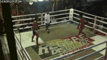 Muay Thai GIFs - Find & Share on GIPHY