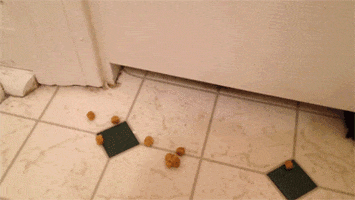 hungry agent m GIF by Agent M Loves Gifs