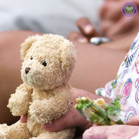 bear toy GIF by Wimbledon
