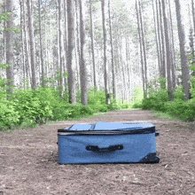 Dog Travel GIF