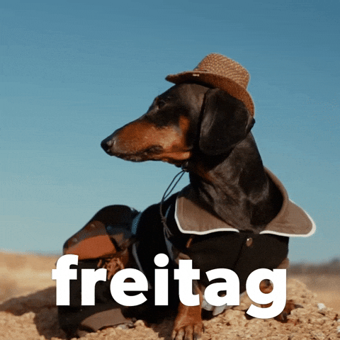 Freitagder13 GIFs Get the best GIF on GIPHY