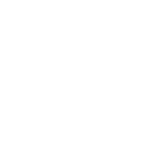 RiteChoice Dog Agility Sticker