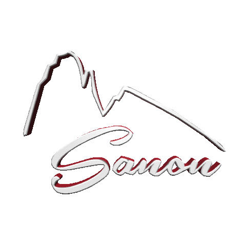 Sanon Sticker