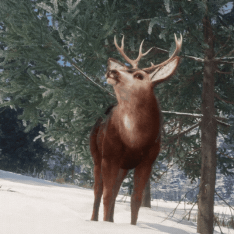 Deer Muledeer GIF by theHunter: Call of the Wild (Official)