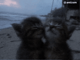 You And Me Love GIF