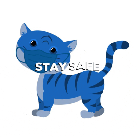 Cat Stay Safe GIF by SAFE Inc
