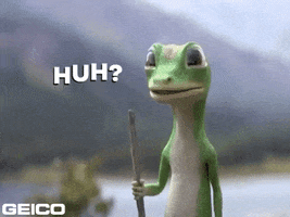 What Confused GIF by GEICO
