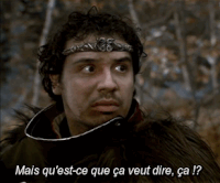 Kaamelott Arthur GIFs - Get the best GIF on GIPHY
