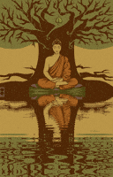 Meditation Buddhism GIF Meditation Buddhism GIF