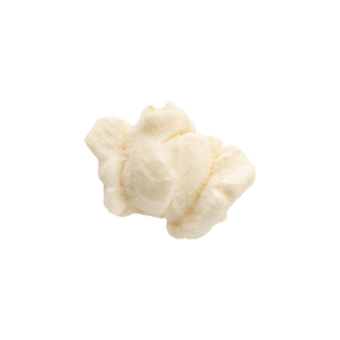 Kernel Seasons Sticker