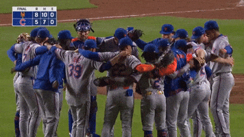 Mlb Nyc GIF by New York Mets