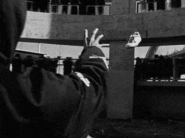 Rebel GIF