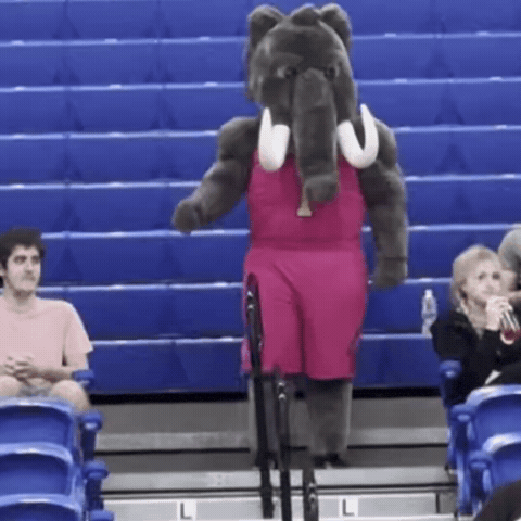 Dance Dons GIF by Purdue Fort Wayne Athletics