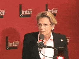michele alliot-marie archive GIF by franceinfo