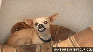 If it were up to me
