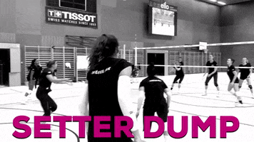 Setter Nuc GIF by NUCVolleyball