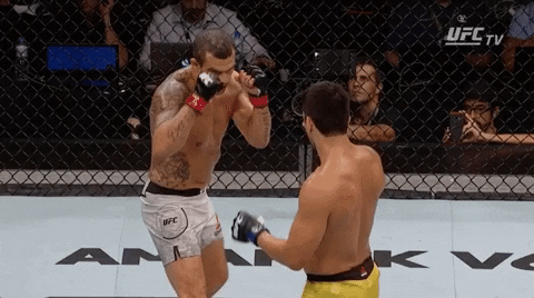 Knock Out GIFs - Get the best GIF on GIPHY
