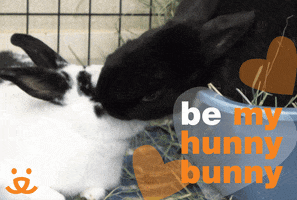 I Love You Kiss GIF by Best Friends Animal Society