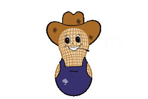 Texas Cowboy Sticker by ALL Good Peanut Co