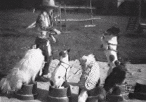 dog cowboy GIF by Texas Archive of the Moving Image