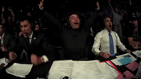 giphy.gif?cid=9b38fe91yjklwwv7orvew7963i