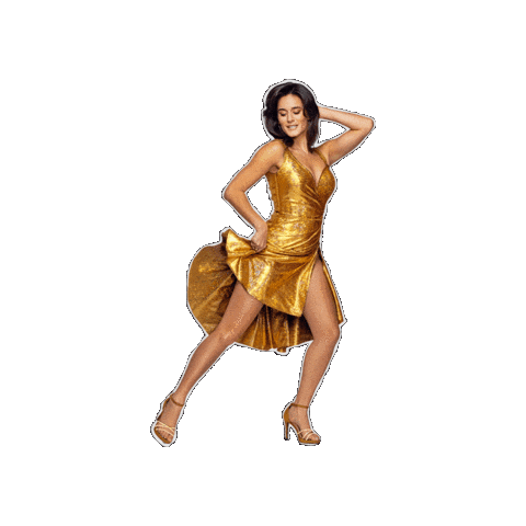 De Graaf & Cornelissen Entertainment Sticker