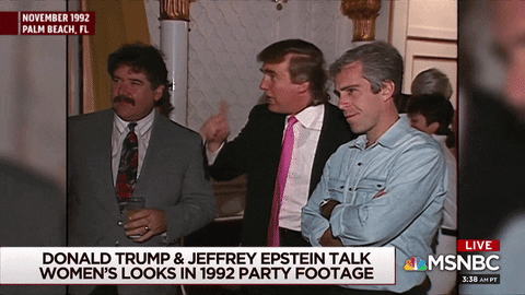 Trump Epstein GIF - Find & Share on GIPHY