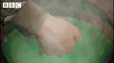 Image: https://media0.giphy.com/media/1Ag3wEOLV9trC4T9ig/giphy.gif?cid=790b76115d3eaff6323035517782393b&rid=giphy.gif the worst witch omg GIF by CBBC