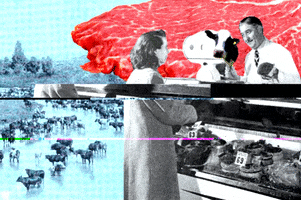 deli meat shopping GIF by Massive Science
