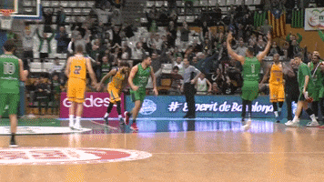 liga endesa basketball GIF by ACB